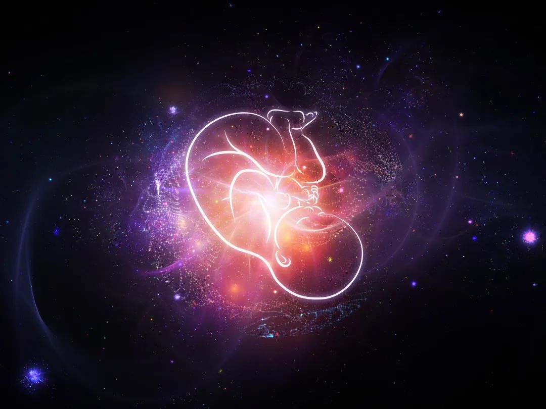 aa和aa生出的孩子是健康的吗,aa和aa生出来的孩子什么血型