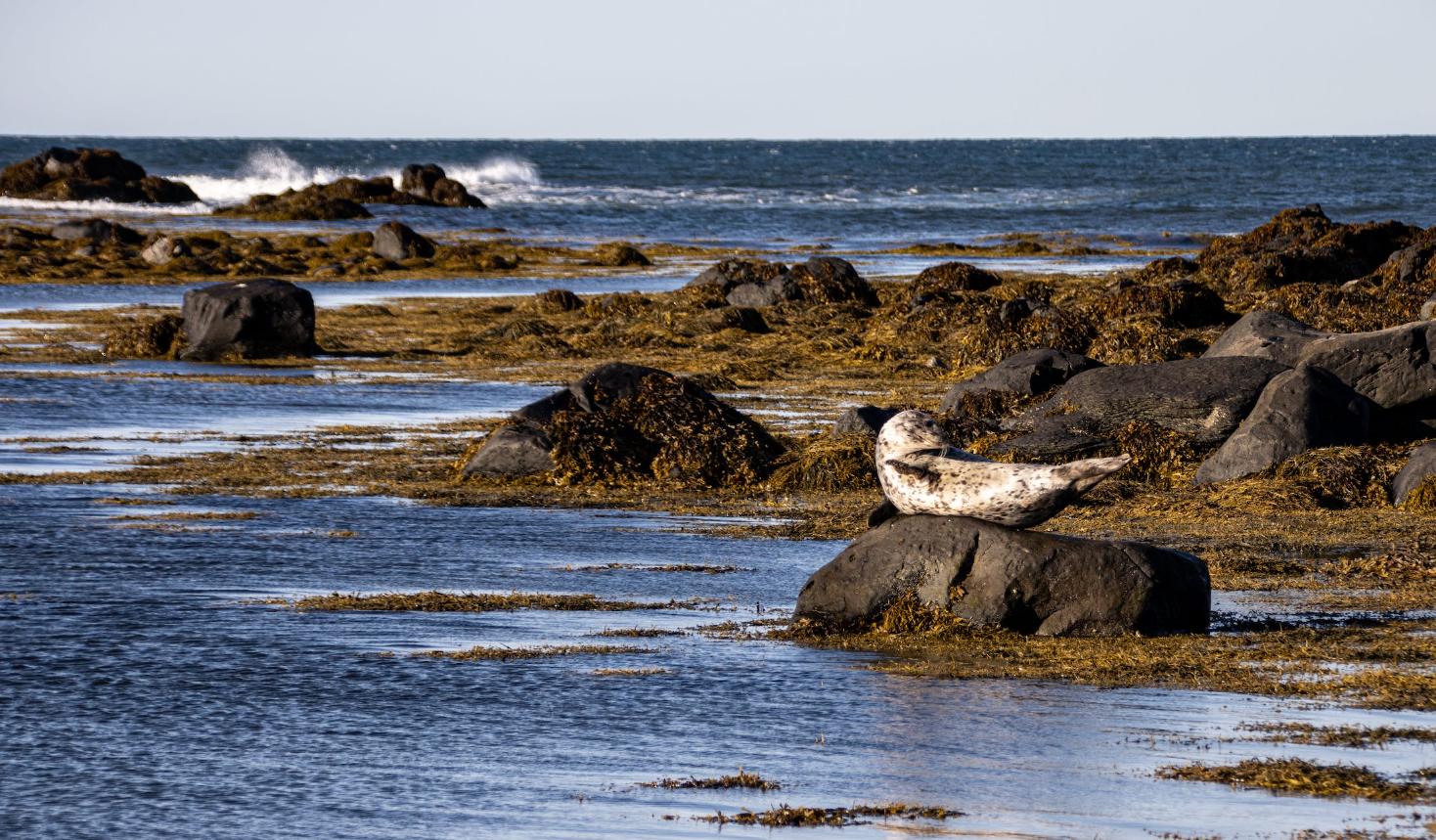 地球是人类生活的家,神奇的地球家