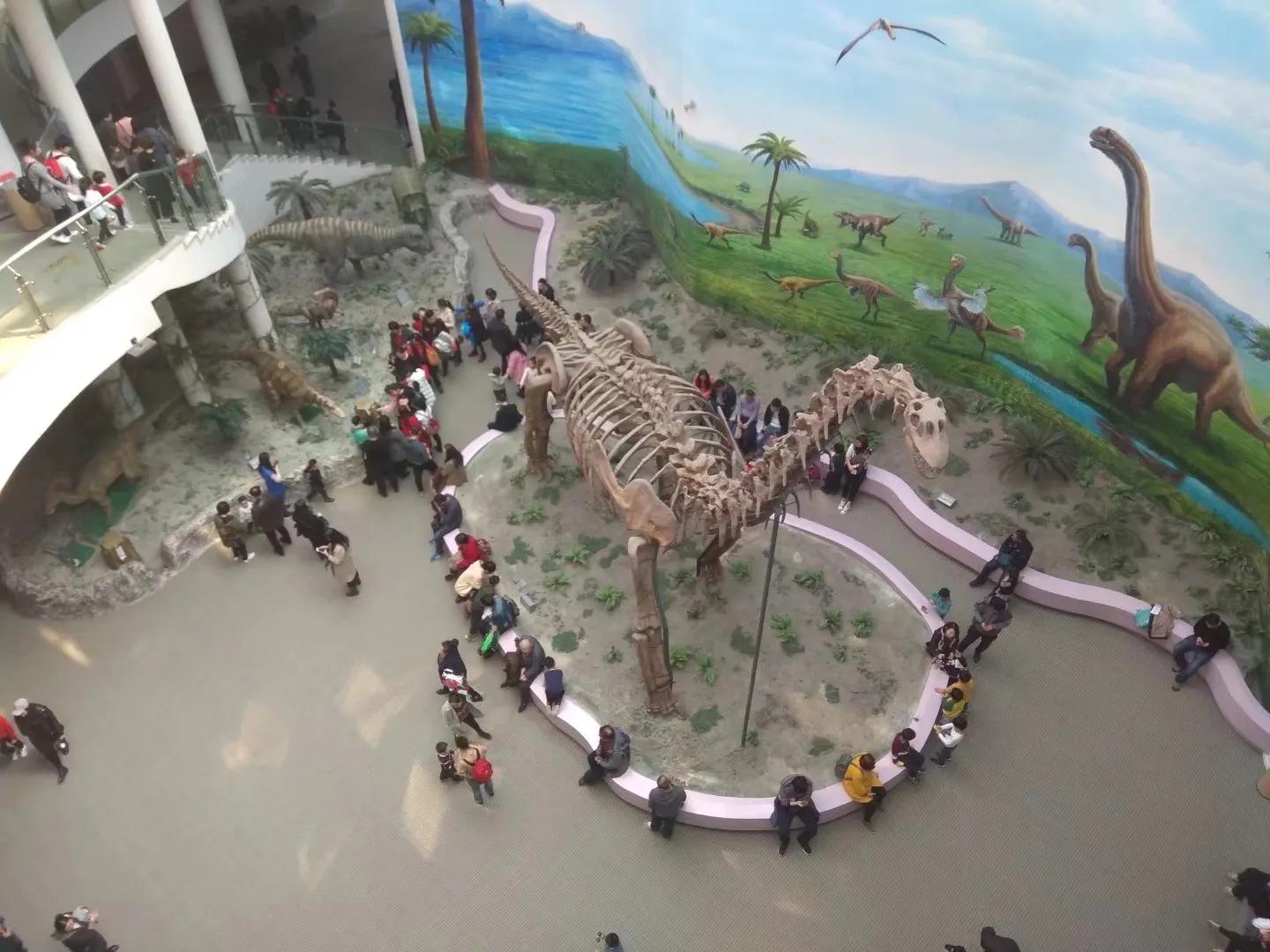 我的母校我的家乡,回母校宣传沈阳师范大学