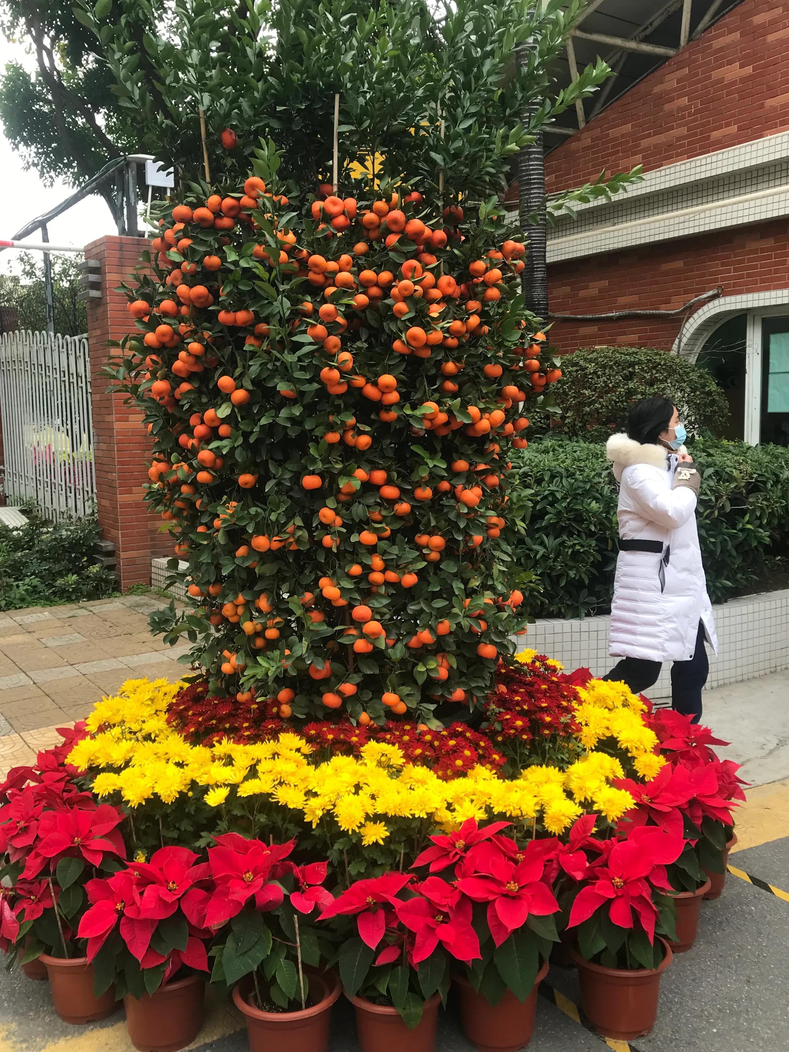 什么会影响企业具体的营销策略,企业线上线下创新营销渠道策略