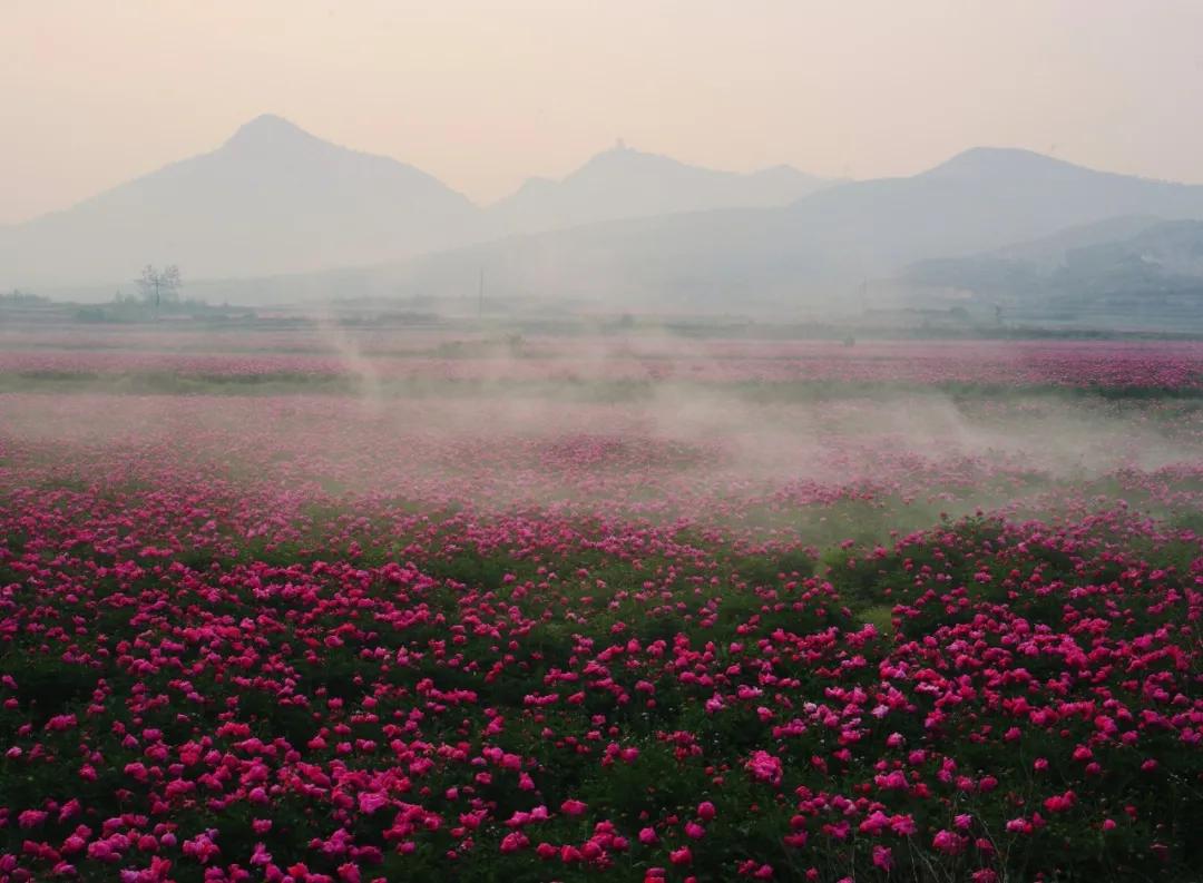 唐山旅游滦州,云游唐山时间表