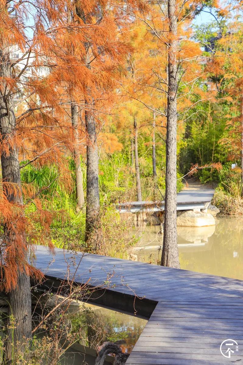深圳4个绝美海岛,深圳值得游玩的小岛