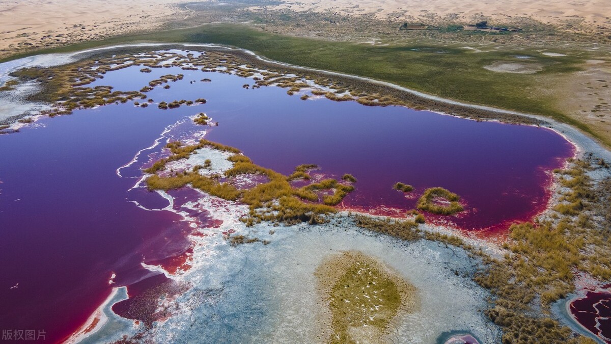 阿拉善旅游攻略必玩的景点地图,内蒙古阿拉善游玩攻略