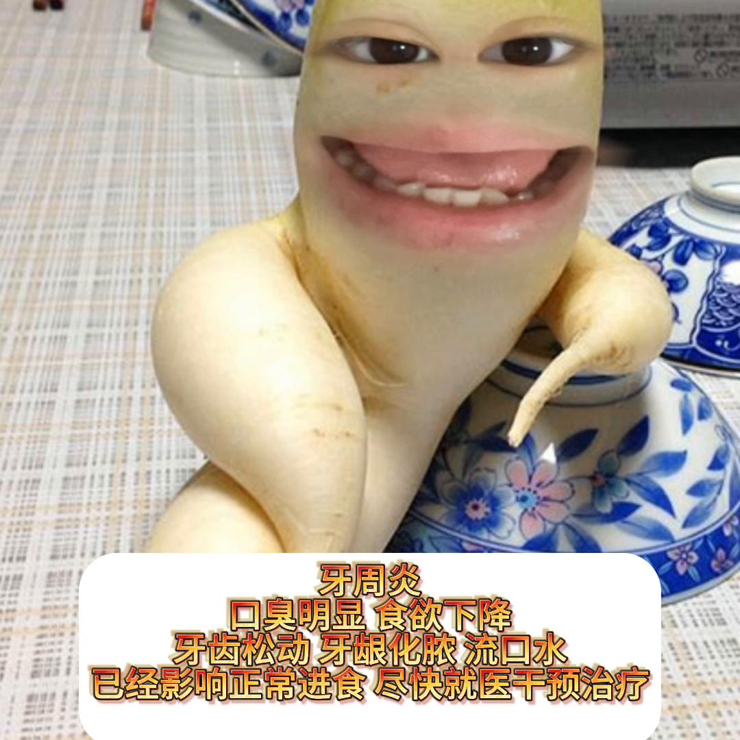 养猫如何改善口腔疾病症状,猫口腔健康判断方法有哪些