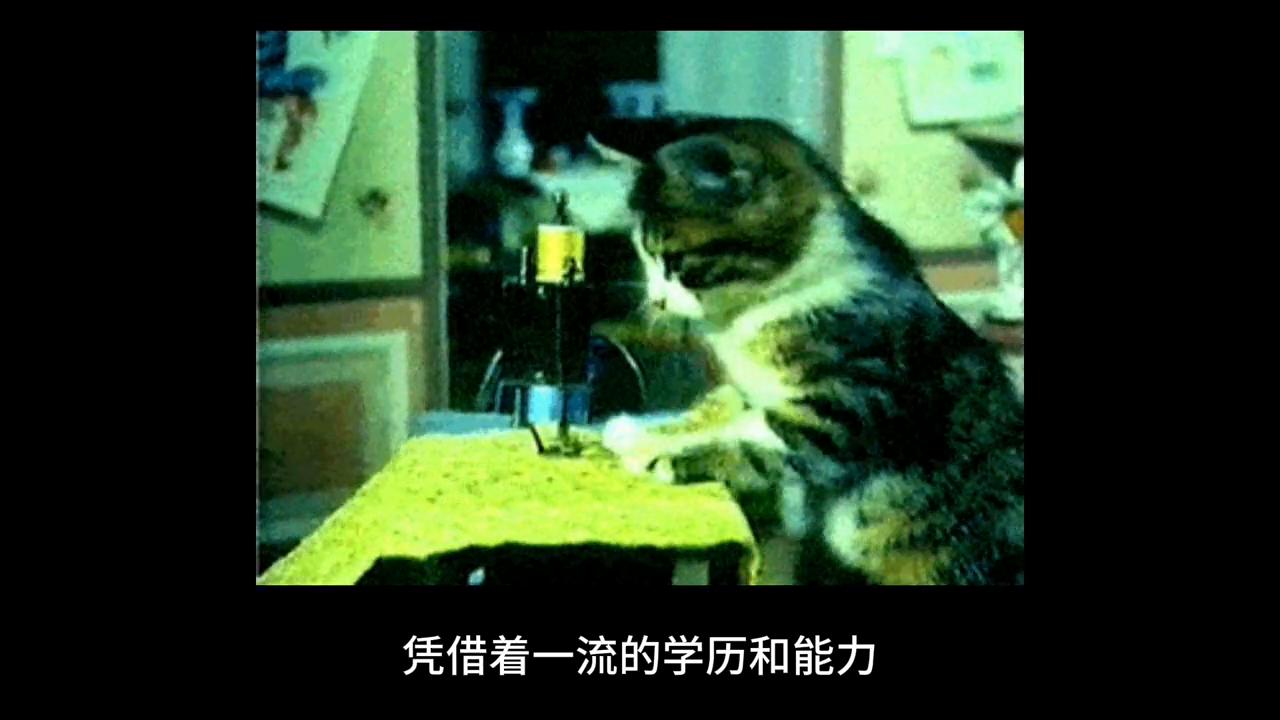 你觉得自己的收入下降了吗,觉得自己没有努力赚钱