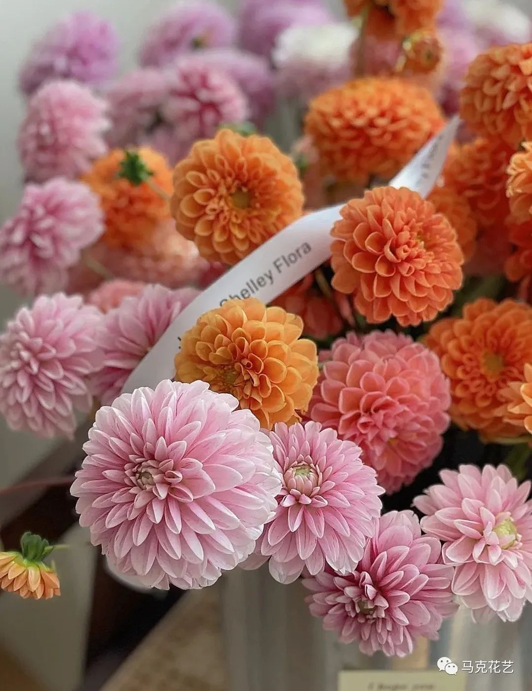 马克花艺｜送对花表对意，别让好心办坏事