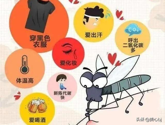 蚊子喜欢叮咬什么人如何防蚊子,老是被蚊子叮咬是什么体质