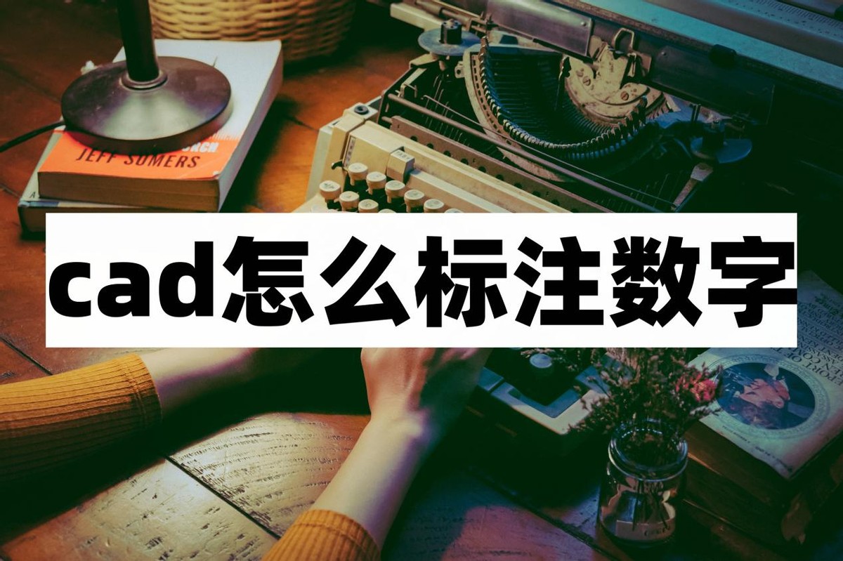 cad如何标注坐标xy一起标注出来,cad标注上面怎么标注数字