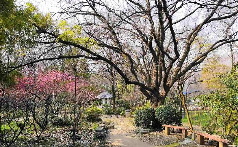 南京栖霞区免费游玩景点推荐,南京一百个免费景点