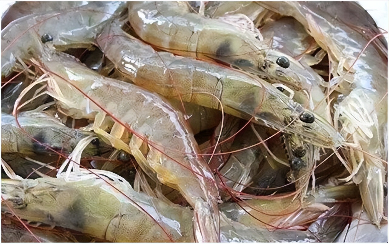 冻虾直虾和弯虾有什么区别,买大虾选直虾还是弯虾