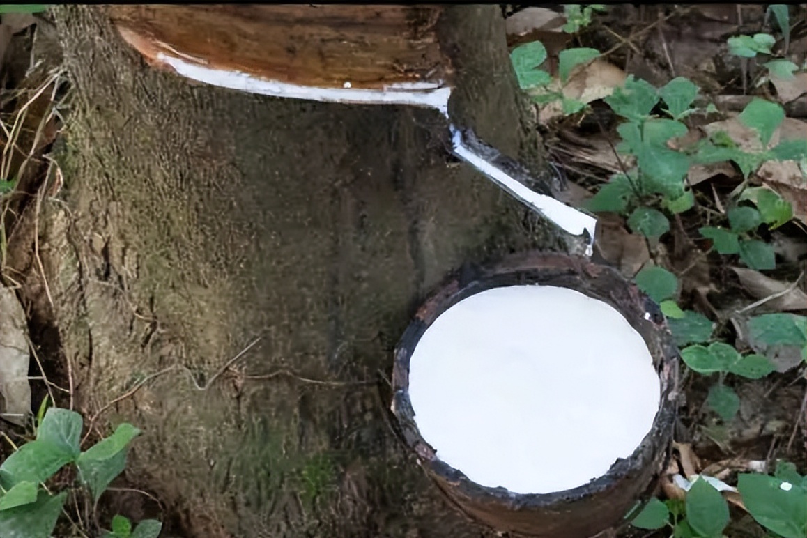 有没有治疗失眠的床垫,治愈失眠床垫