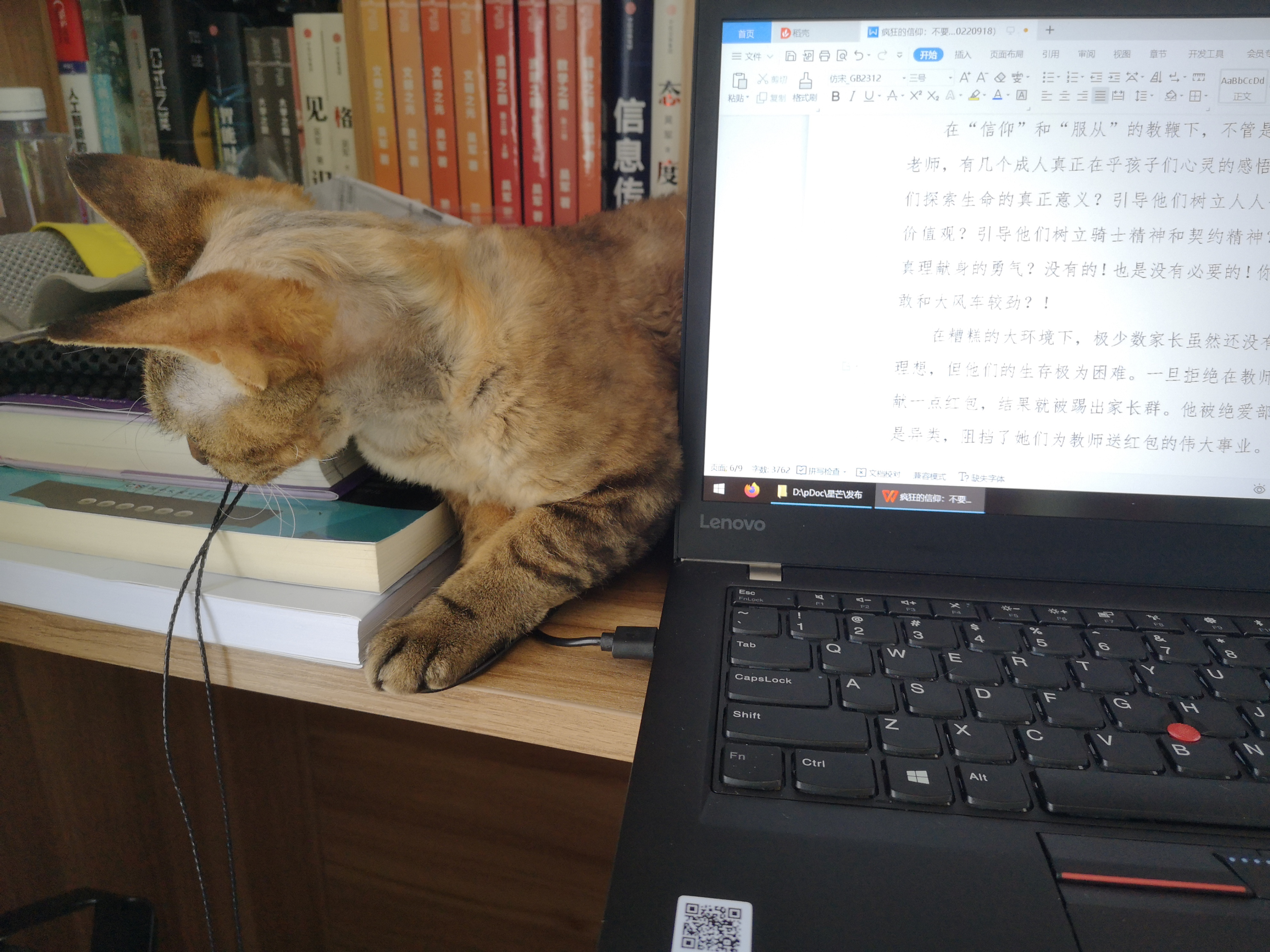 一只活得让人羡慕的猫,德文猫养育一只黄猫