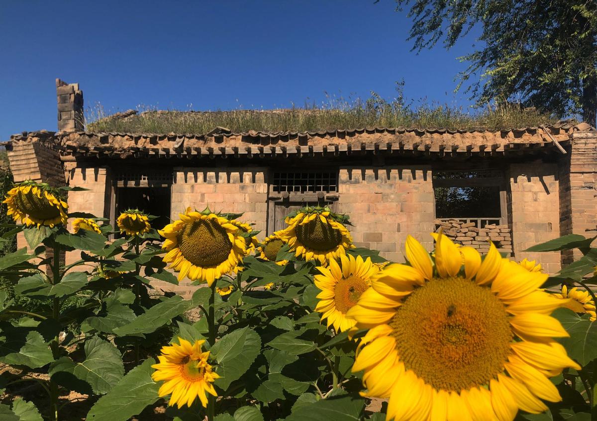 消失的老式用品,过时的姨妈巾