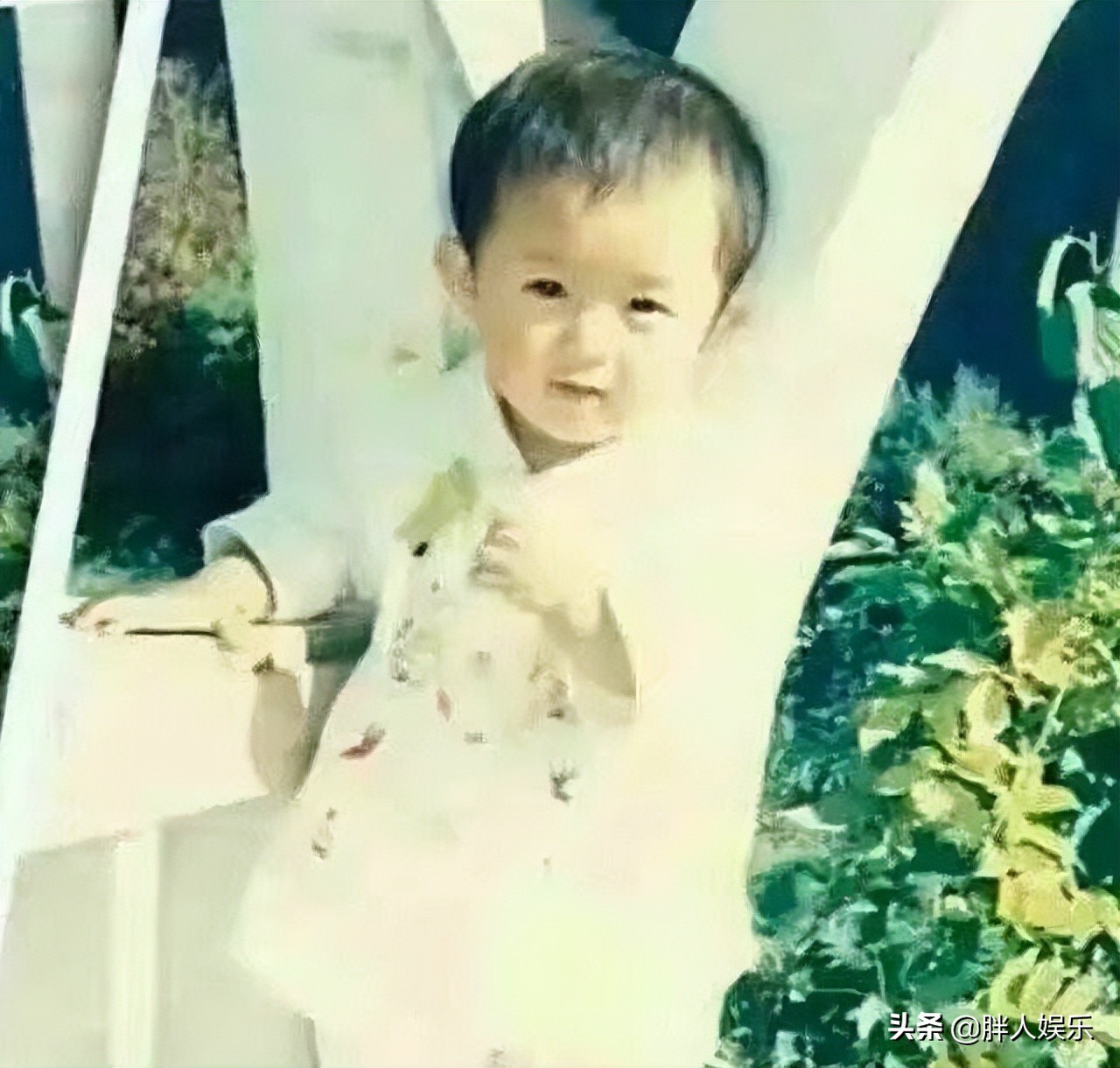 赵丽颖和冯绍峰离婚的真正原因,赵丽颖和冯绍峰离婚的真实原因