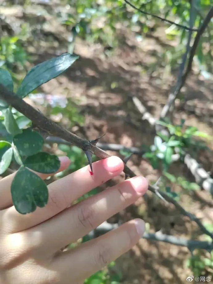 每日一笑最新段子,段子每日一笑