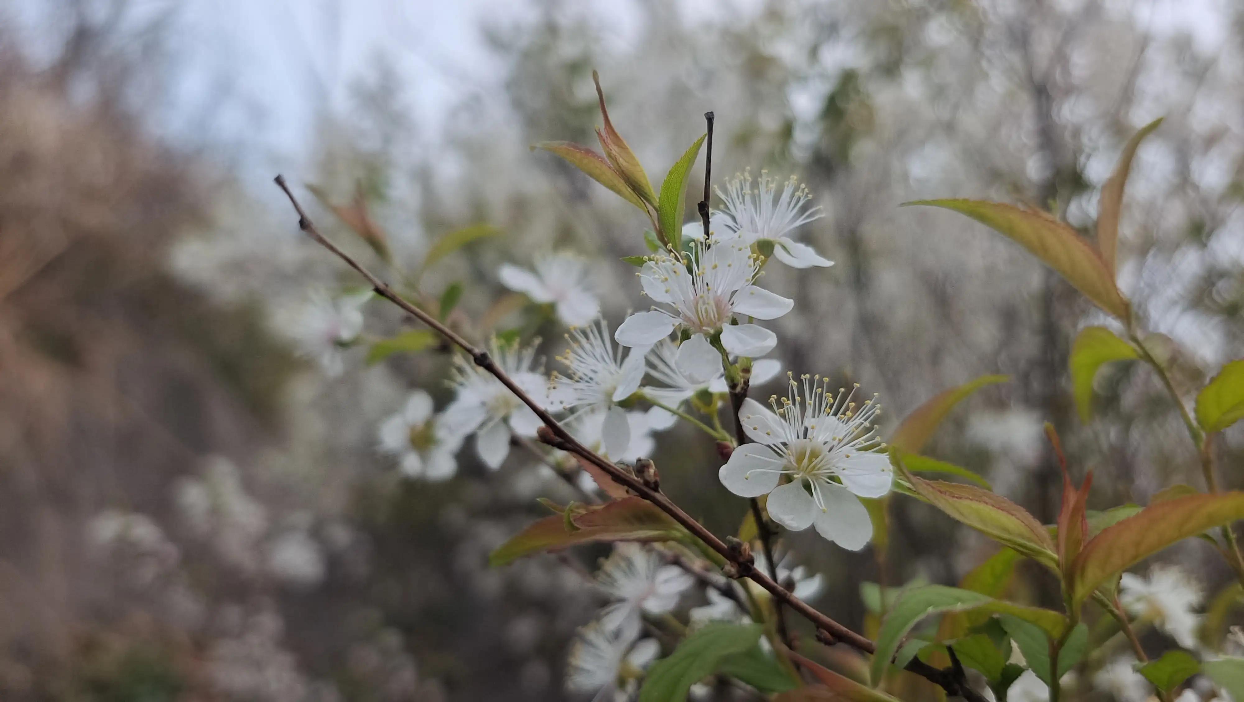 解封后你最想做什么,解封后你最想去的地方