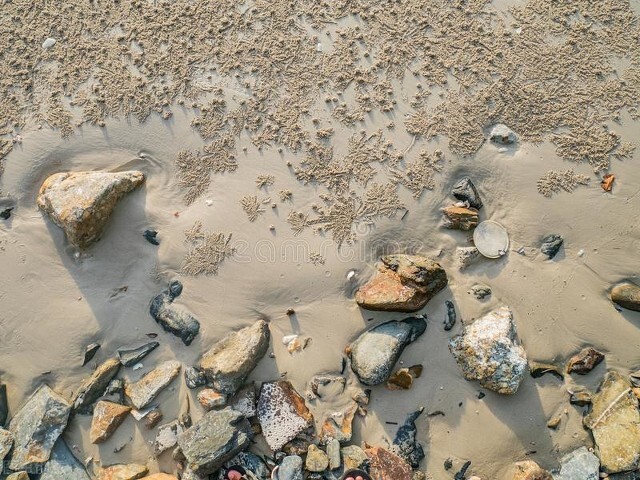 各地方言占比,无人区方言汇集