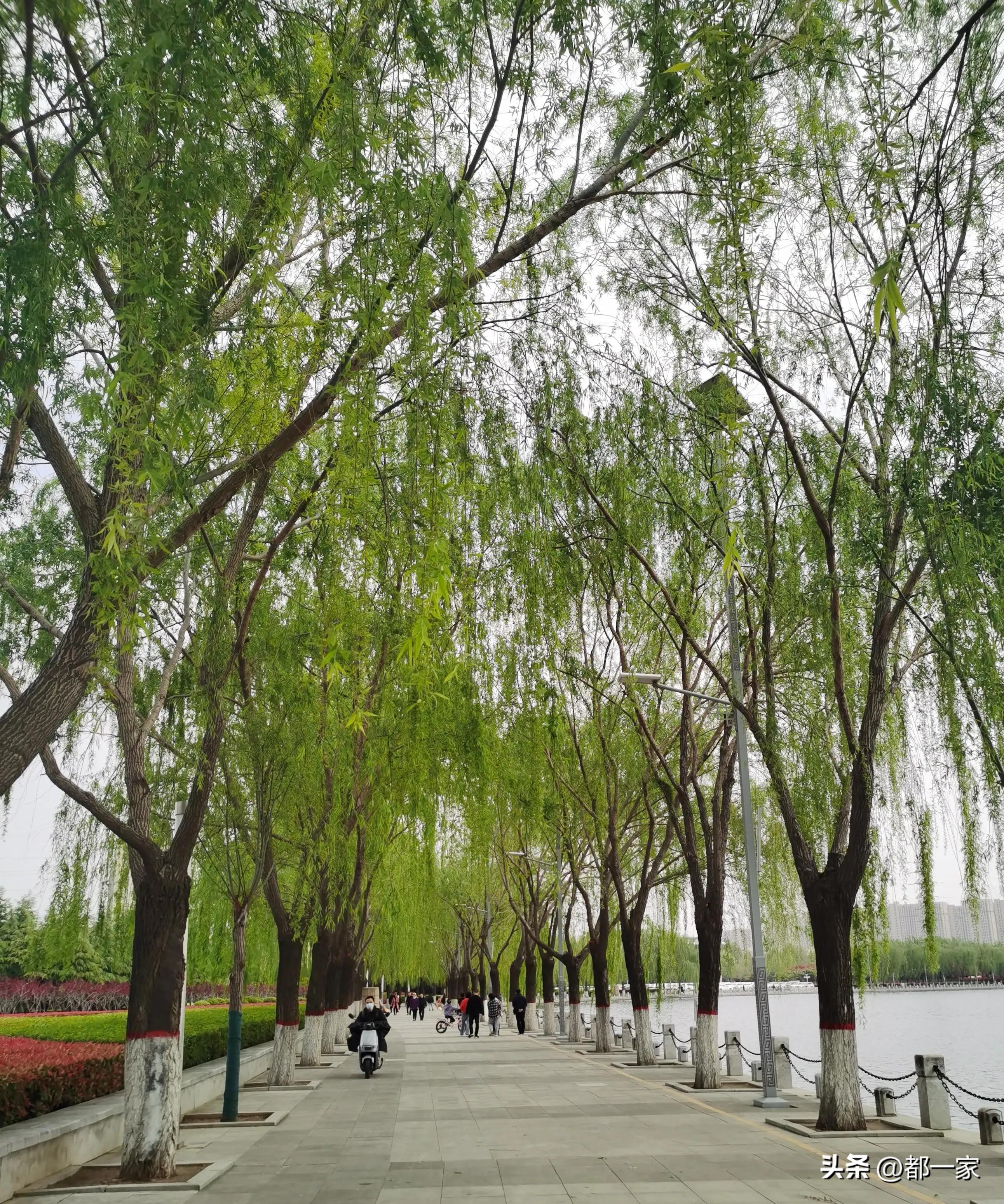 郑州须水河湿地公园,郑州索河湿地公园网红打卡地