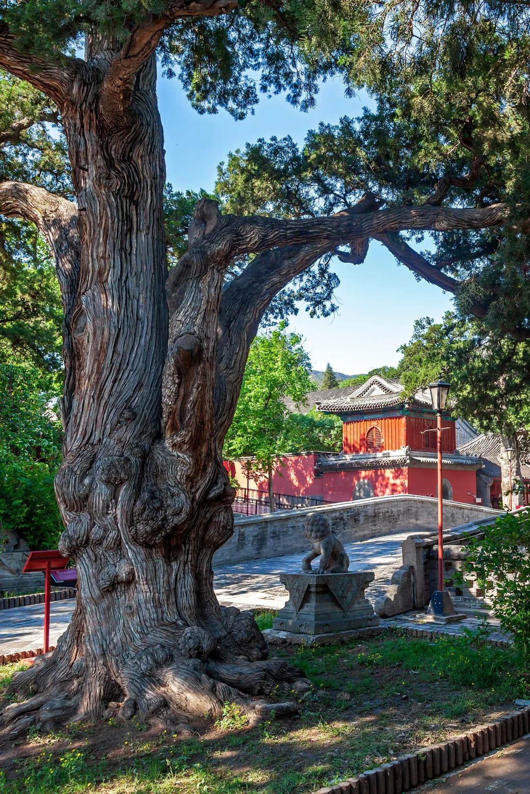 中国最灵的寺庙雍和宫,不要再去一个人挤人的景点