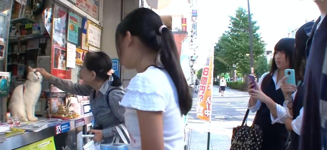 现实版招财喵，帮铲屎官实现月入过万，成为最强吉祥物！