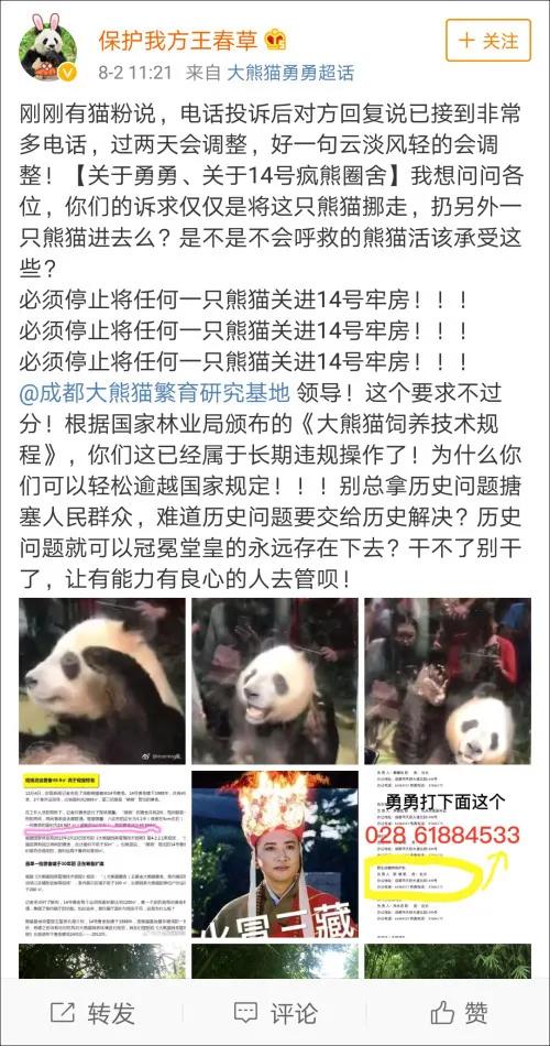 熊猫界几大家族,熊猫的种类有多少种