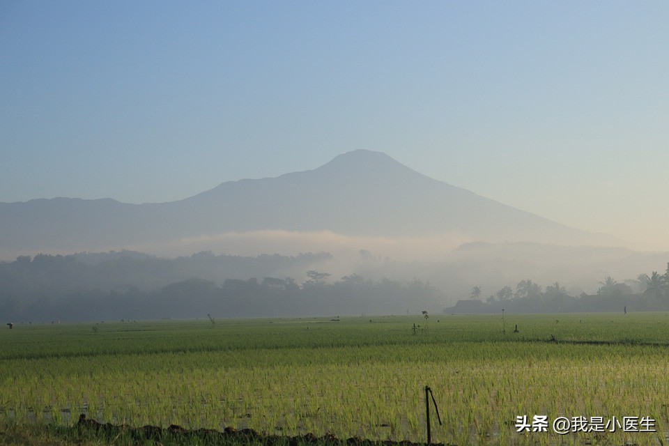 治头痛的知识,头痛的诊疗