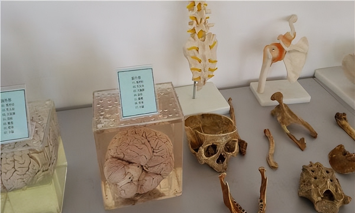 香港雨夜屠夫案件,香港奇案之雨夜屠夫