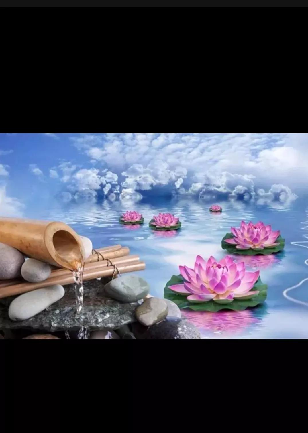 佛教的诸法空相,六根清净的佛教名相