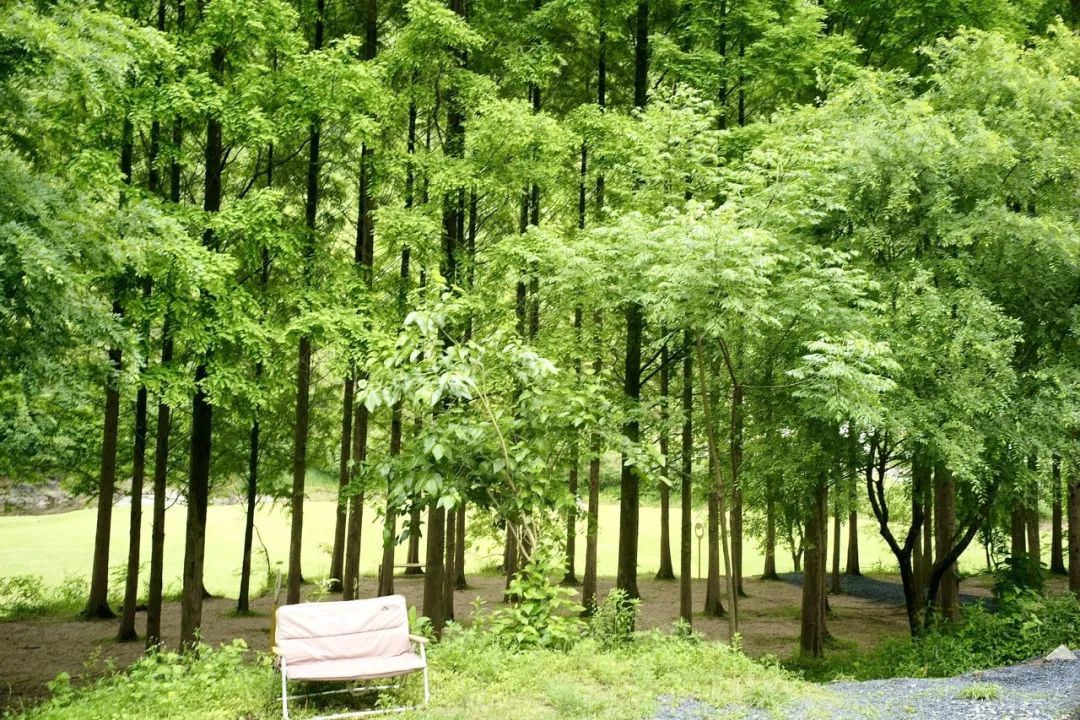 浙江市区度假酒店推荐,浙江轻奢酒店值得推荐