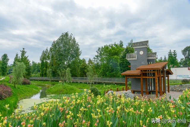 美丽乡村绘画,美丽乡村1-45集免费