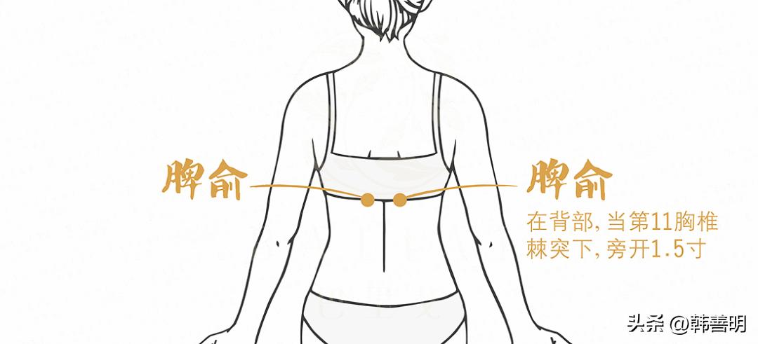 韩善明灸法医案精选（62）——妊娠恶阻案