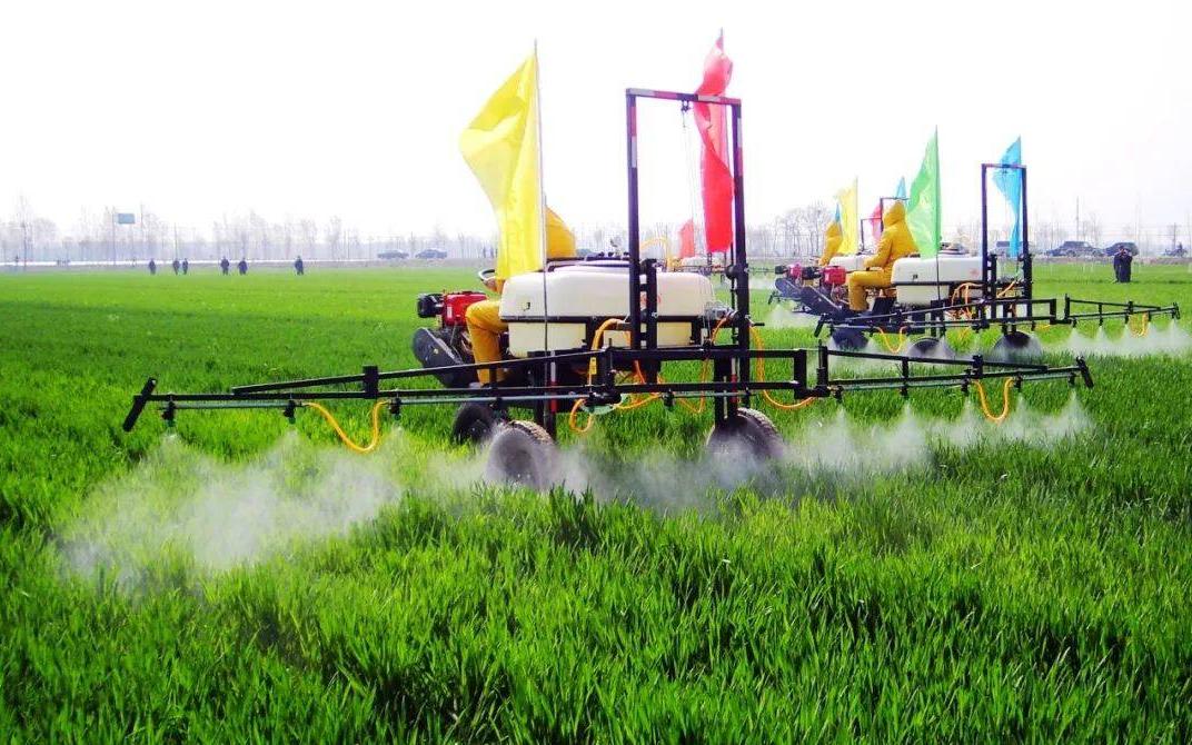 中央100亿补助农民如何下发的,国家的补助老百姓真的领到了吗