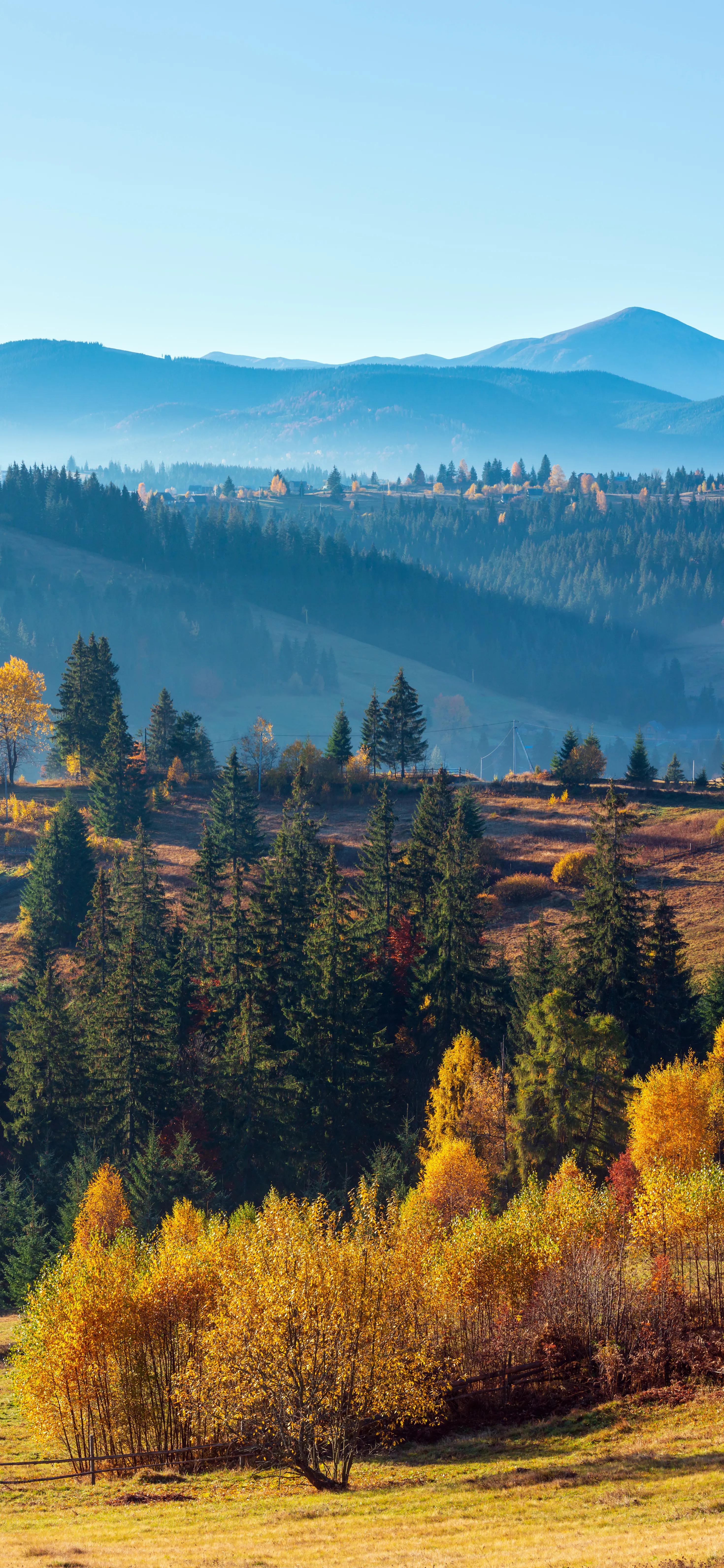 自然风景高清手机壁纸黑色,自然风景高清手机壁纸图片