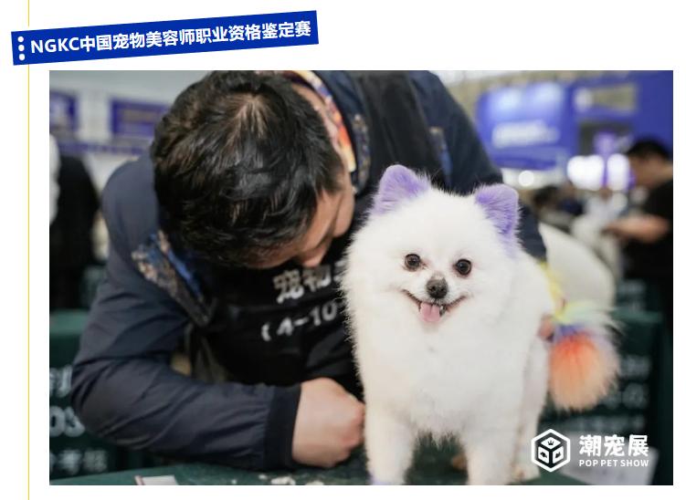 广州国际潮宠展攻略,广州国际潮宠展不买门票可以去吗