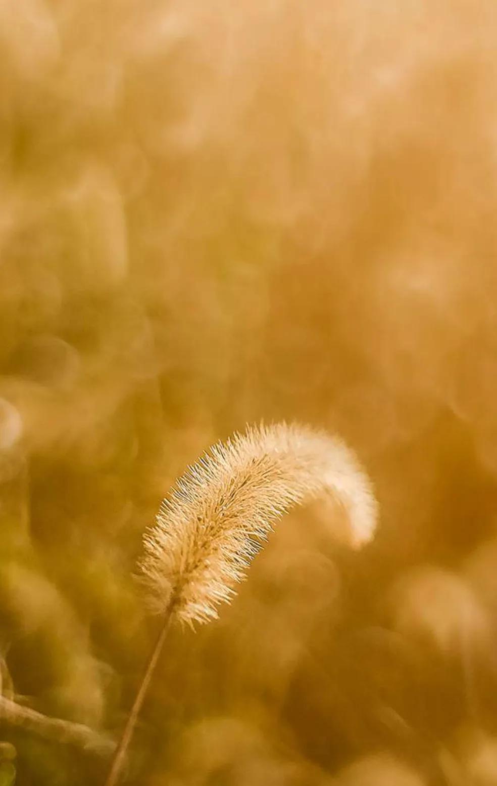 犹太人三个赚钱思维读完终身受益,犹太人赚钱思维合集