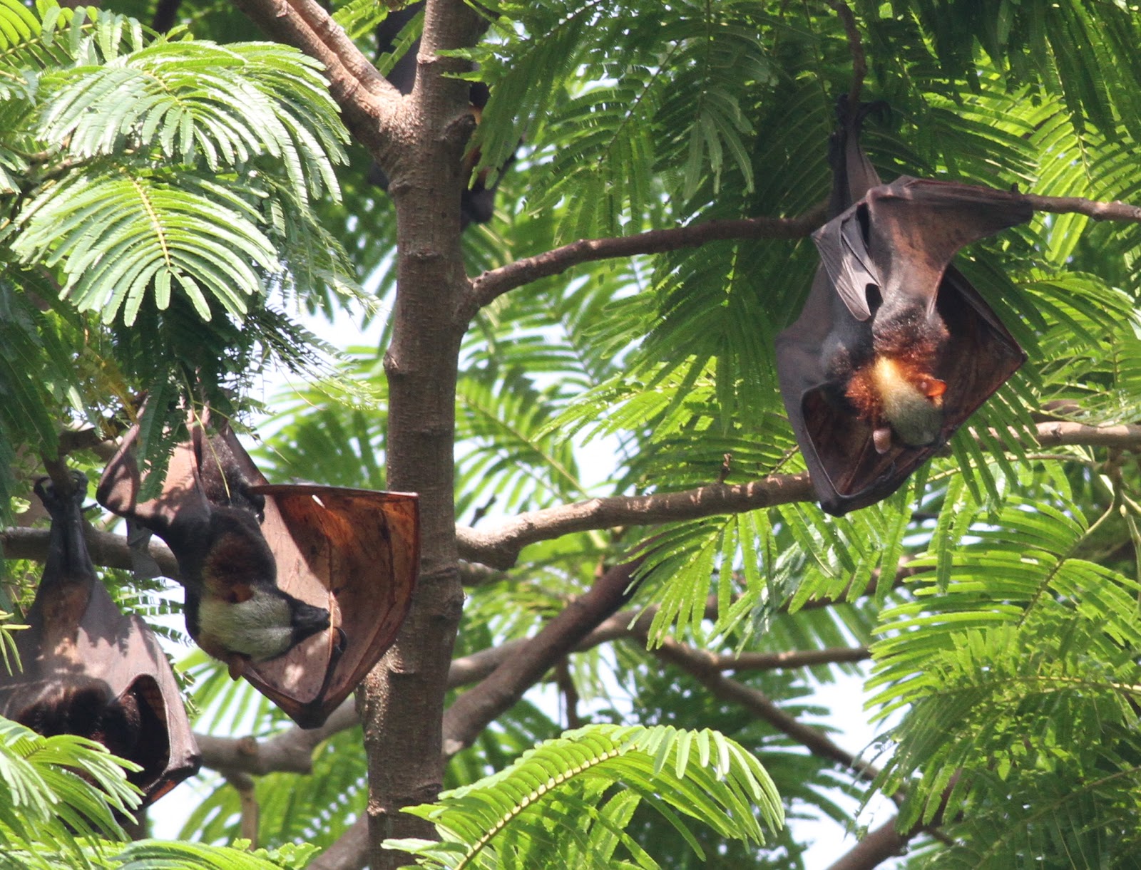 喂奶这件事，女人能行，男人能行吗？