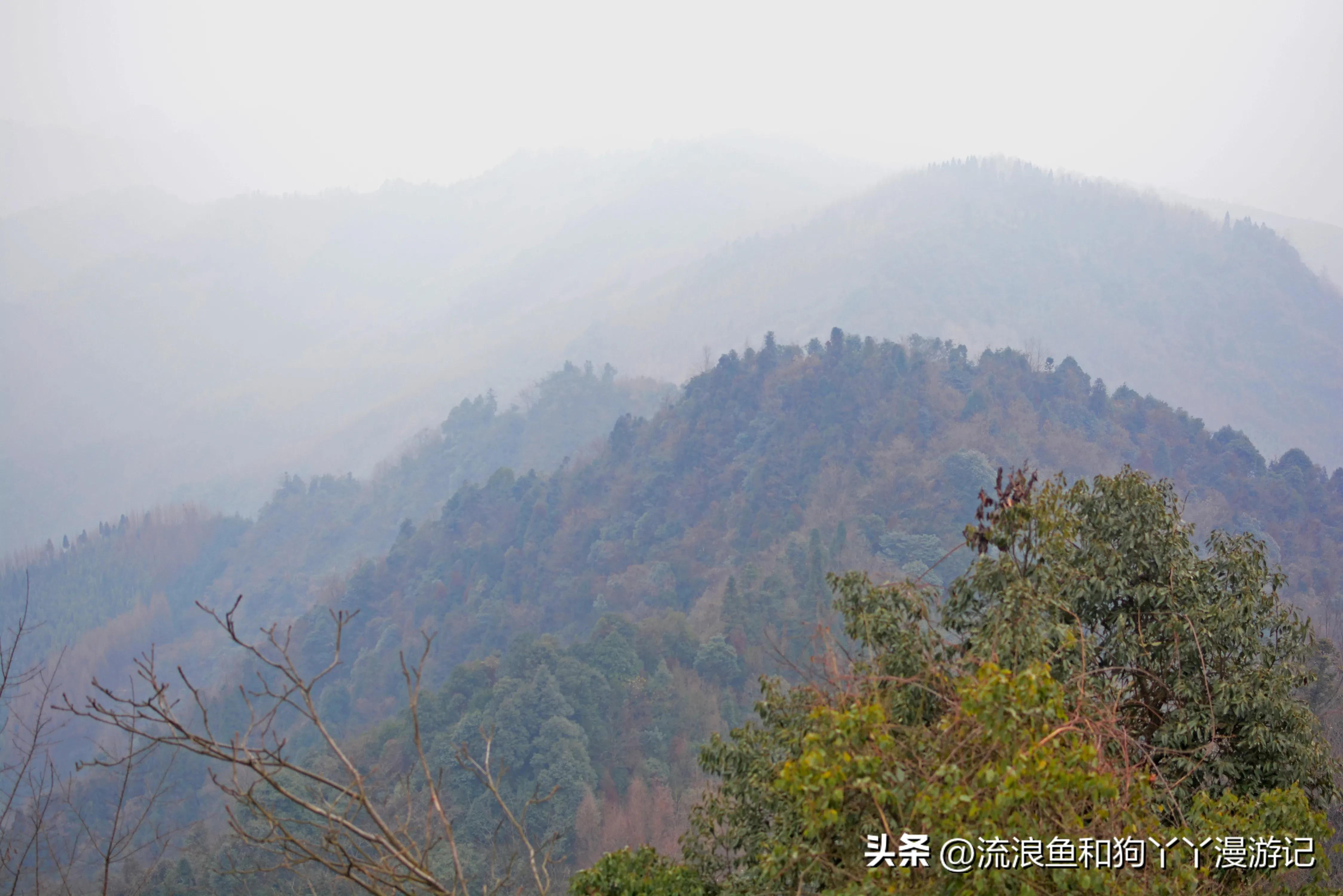 四月份成都近郊一日游好去处,2022成都近郊看雪一日游最佳去处