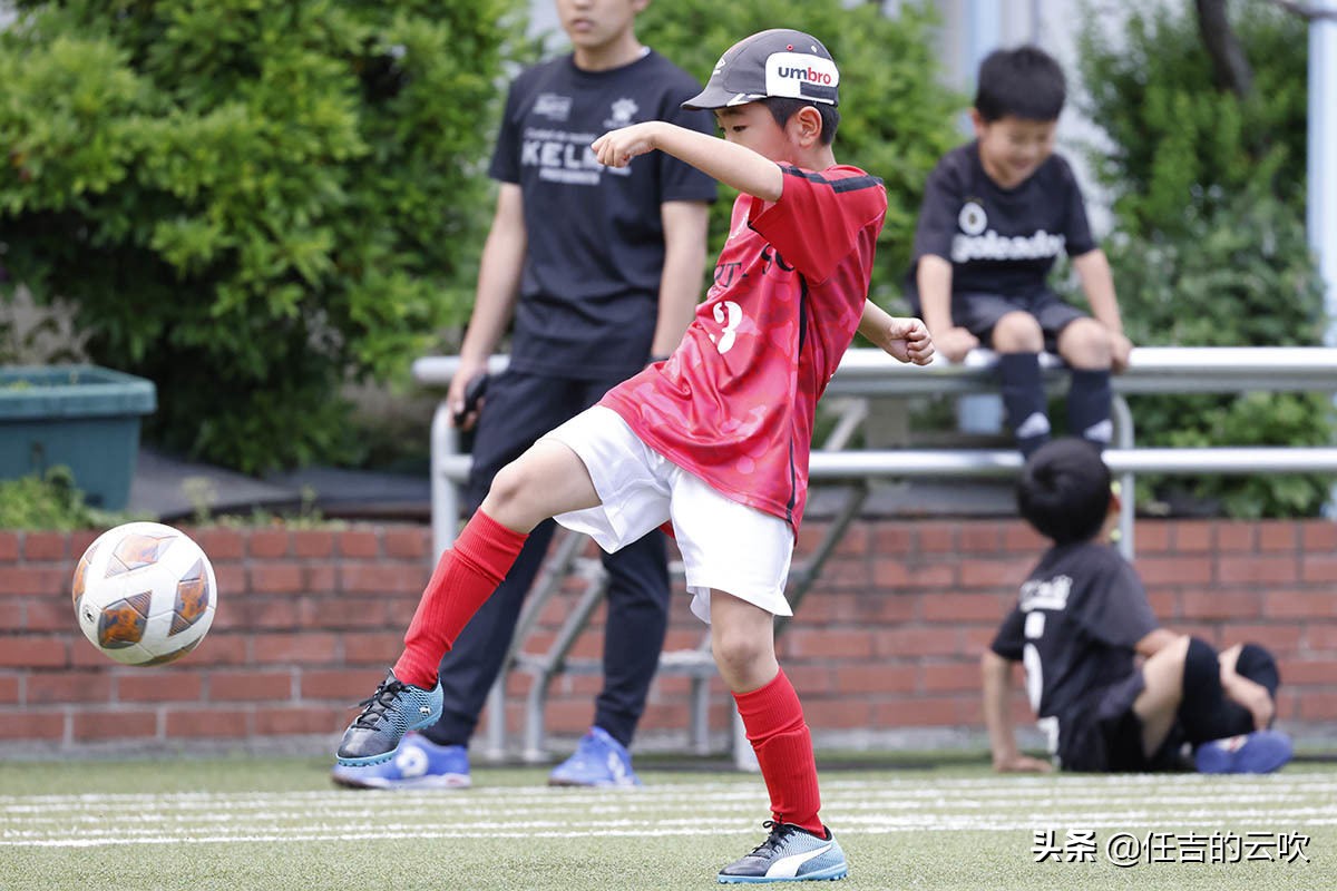 买rf100-400和rf100-500怎么选择,佳能rf100-400和ef100-400