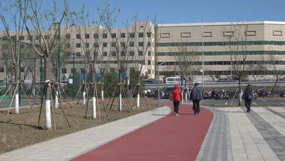 海淀区新增公园,海淀新建的公园