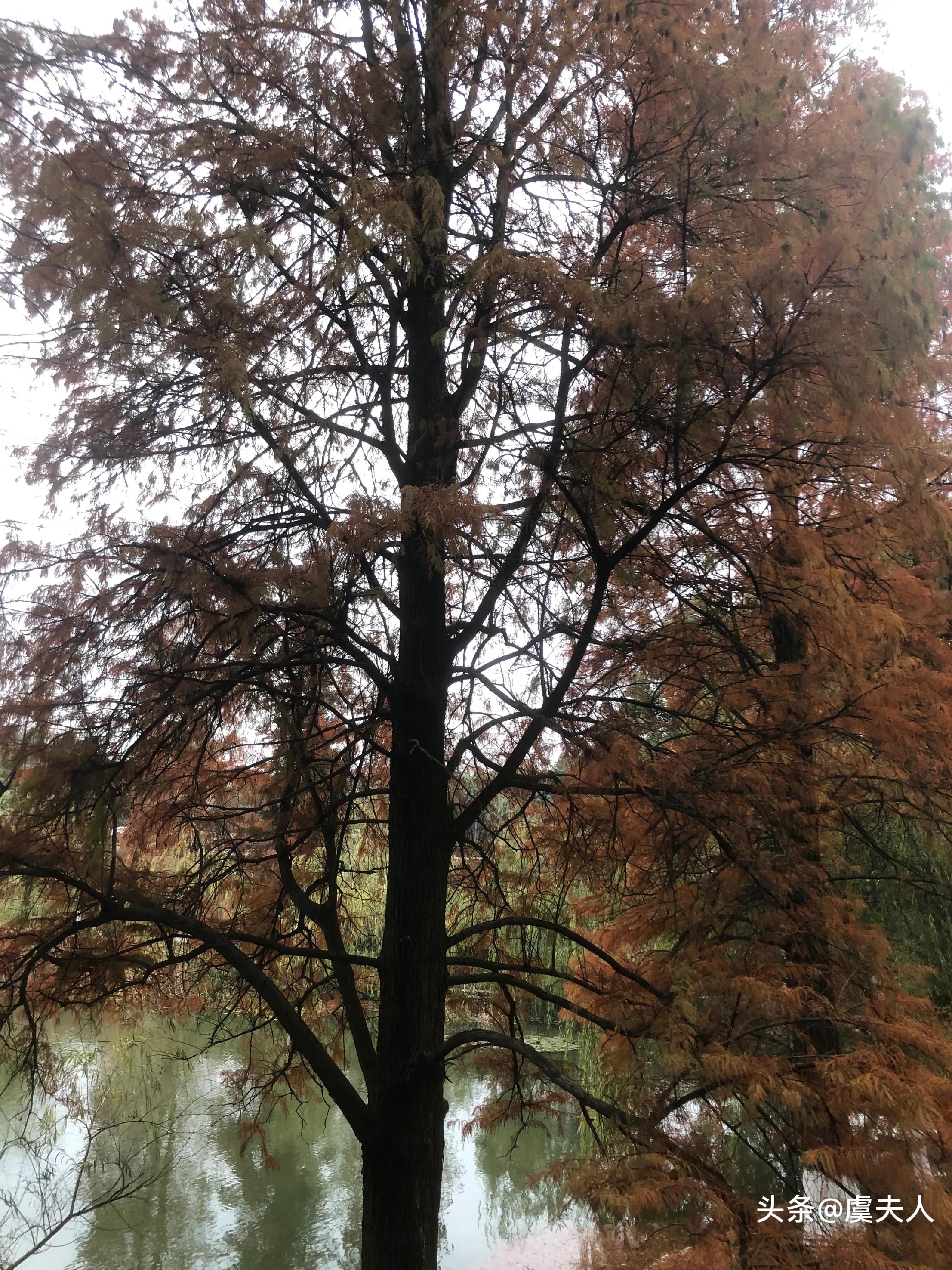 草木荣枯自有时万物从容皆可得,草木荣枯自有时出自哪里