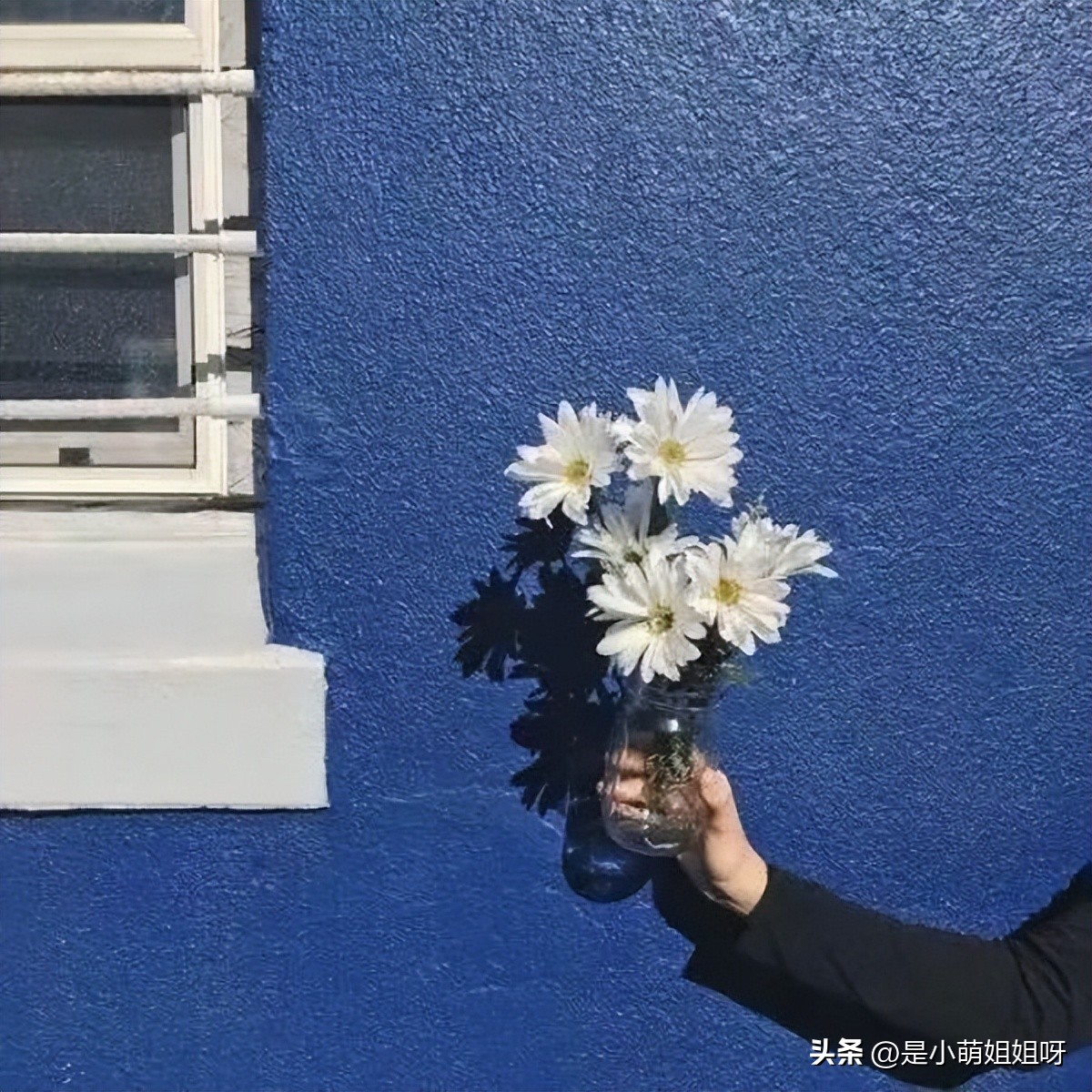 有没有什么副业在手机上可以做,手机上可以做的副业一月赚几万