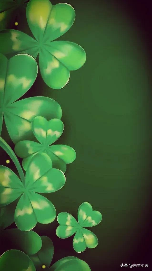 最美的手机壁纸大全,养眼养心的壁纸