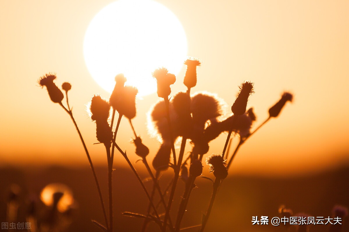 甲减乏力没精神容易疲劳怎么调理,乏力失眠吃啥药