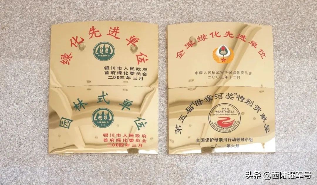 戈壁植树技术,沙漠种树前景如何