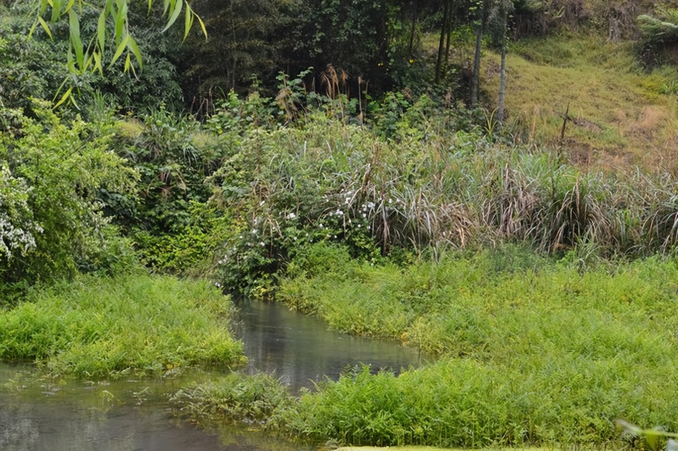 宣恩一座小城,湖北宣恩美丽的小城