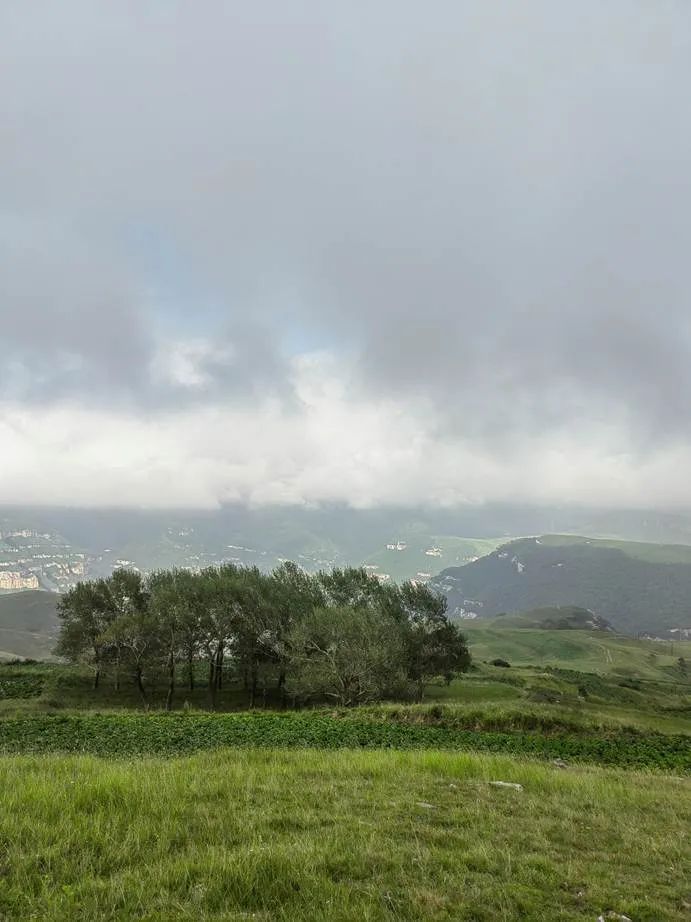 灏忓ぉ灞遍夯鐢板箔鏅尯浜戞捣,楹荤敯宀皬澶╁北璺ソ璧颁箞