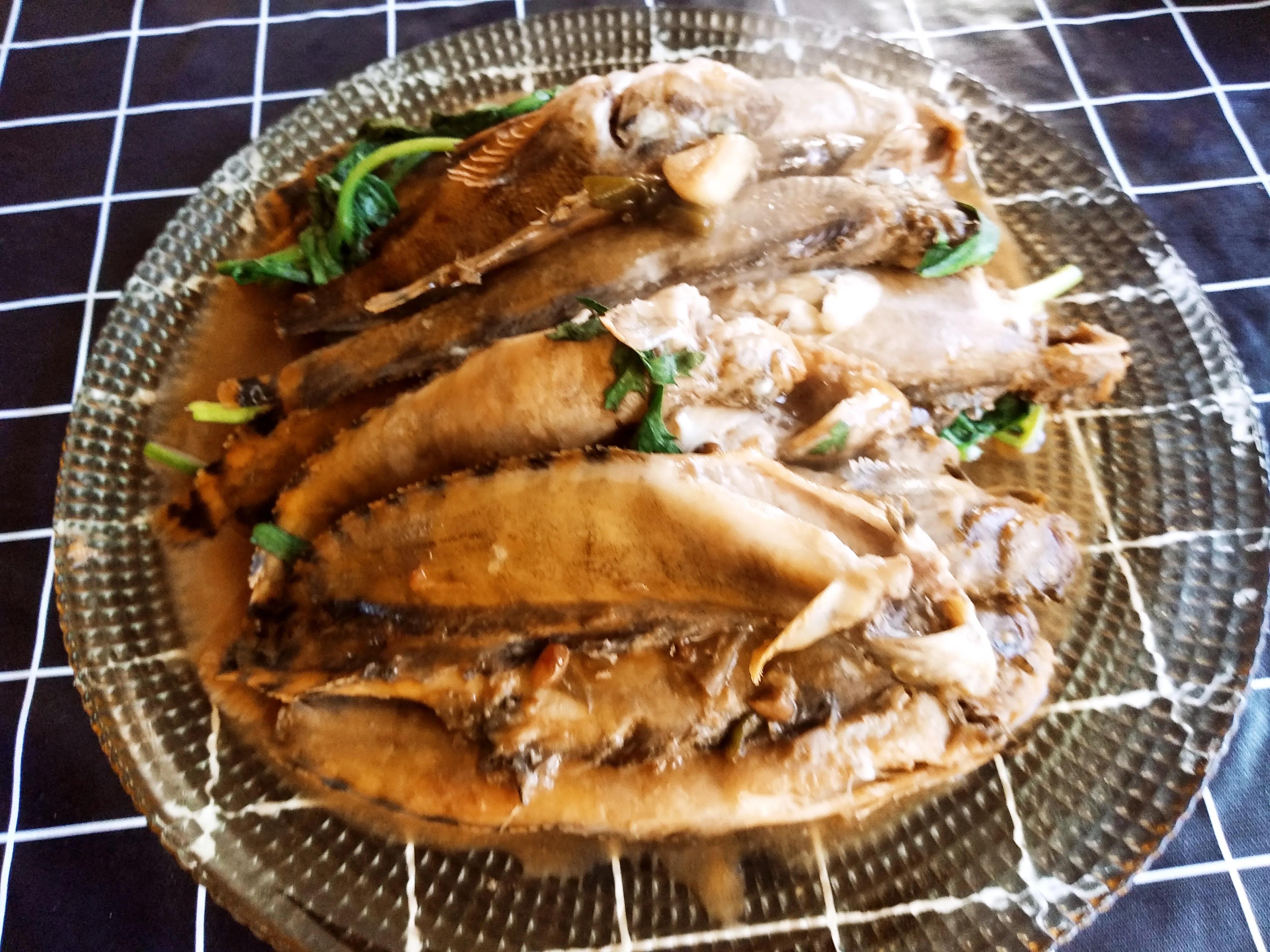 15种常见的海鱼,100种常见食用海鱼图谱