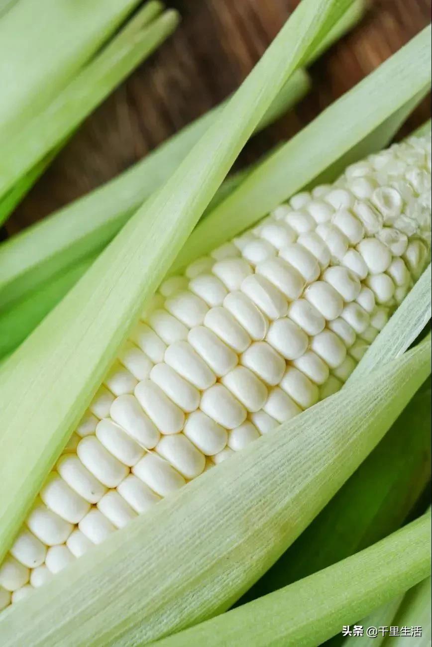 玉米界的“爱马仕”，一*爆口**浆，简直停不下来