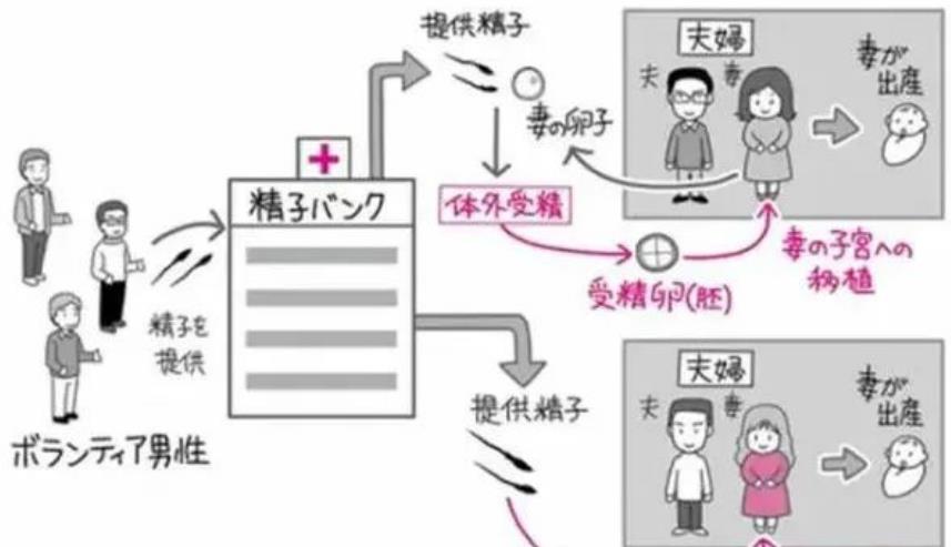 日本男人没有工作会失去妻子吗,日本马斯克