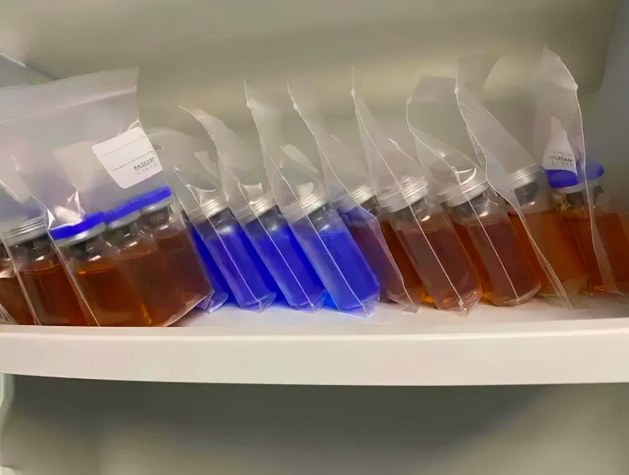 现实版我不是药神兄弟造药救母,我不是药神真人救儿子